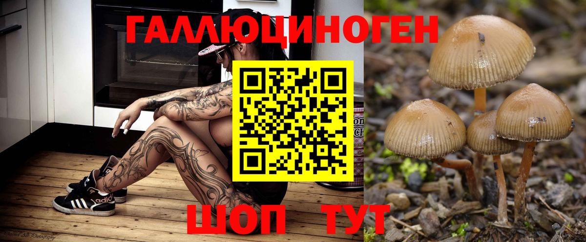 Псилоцибиновые грибы мицелий  Вход с VPN  Артёмовский 